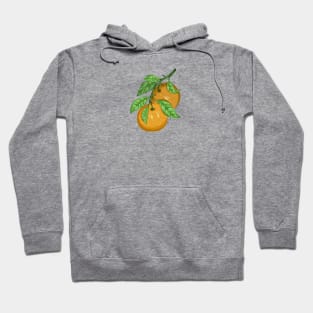 Grapefruit Plant Botanical Hoodie